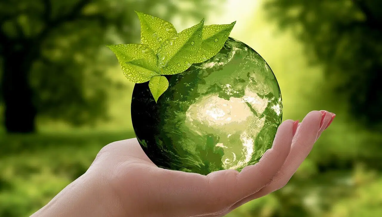 Licenciamento Ambiental: Legalidade e Sustentabilidade